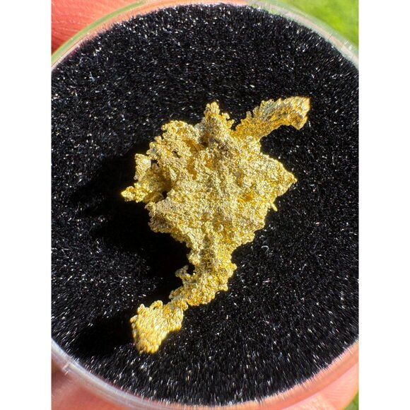 Alaska Shape Gold Crystal - 0.87 grams - California Gold Native Crystal - Picture 4 of 6